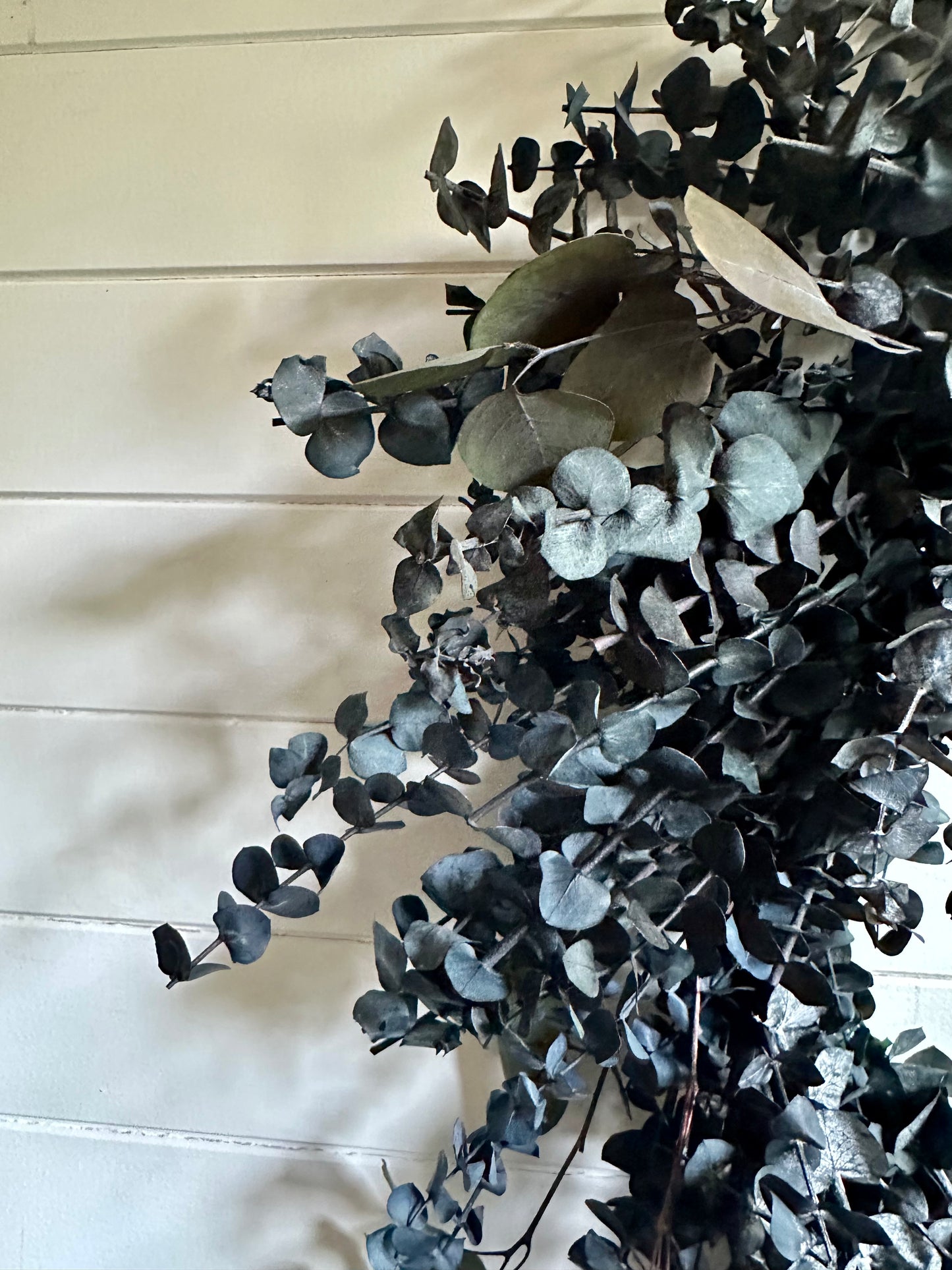 Couronne d'eucalyptus séché (Vert givré)