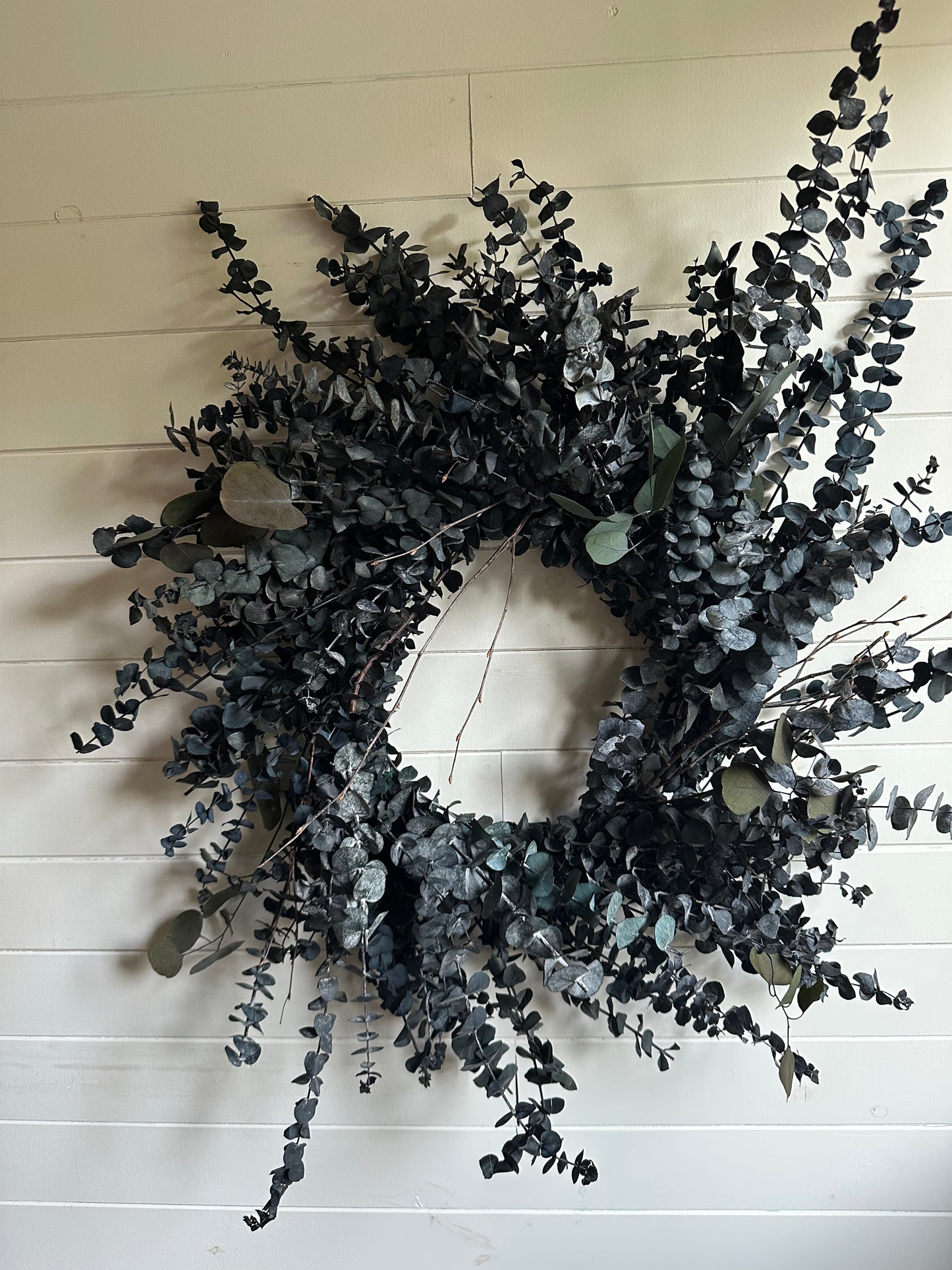 Couronne d'eucalyptus séché (Vert givré)