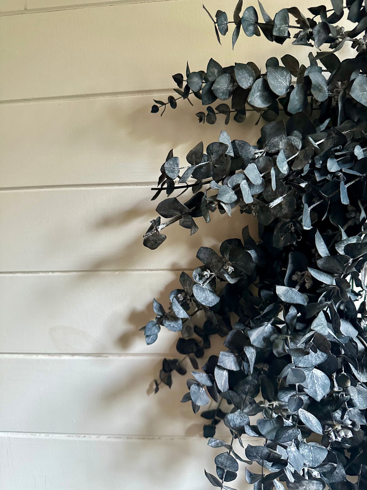 Couronne d'eucalyptus séché (Bleu givré)