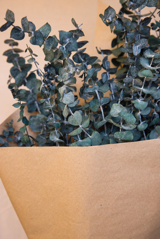Bouquet eucalyptus vert givré (Grand)