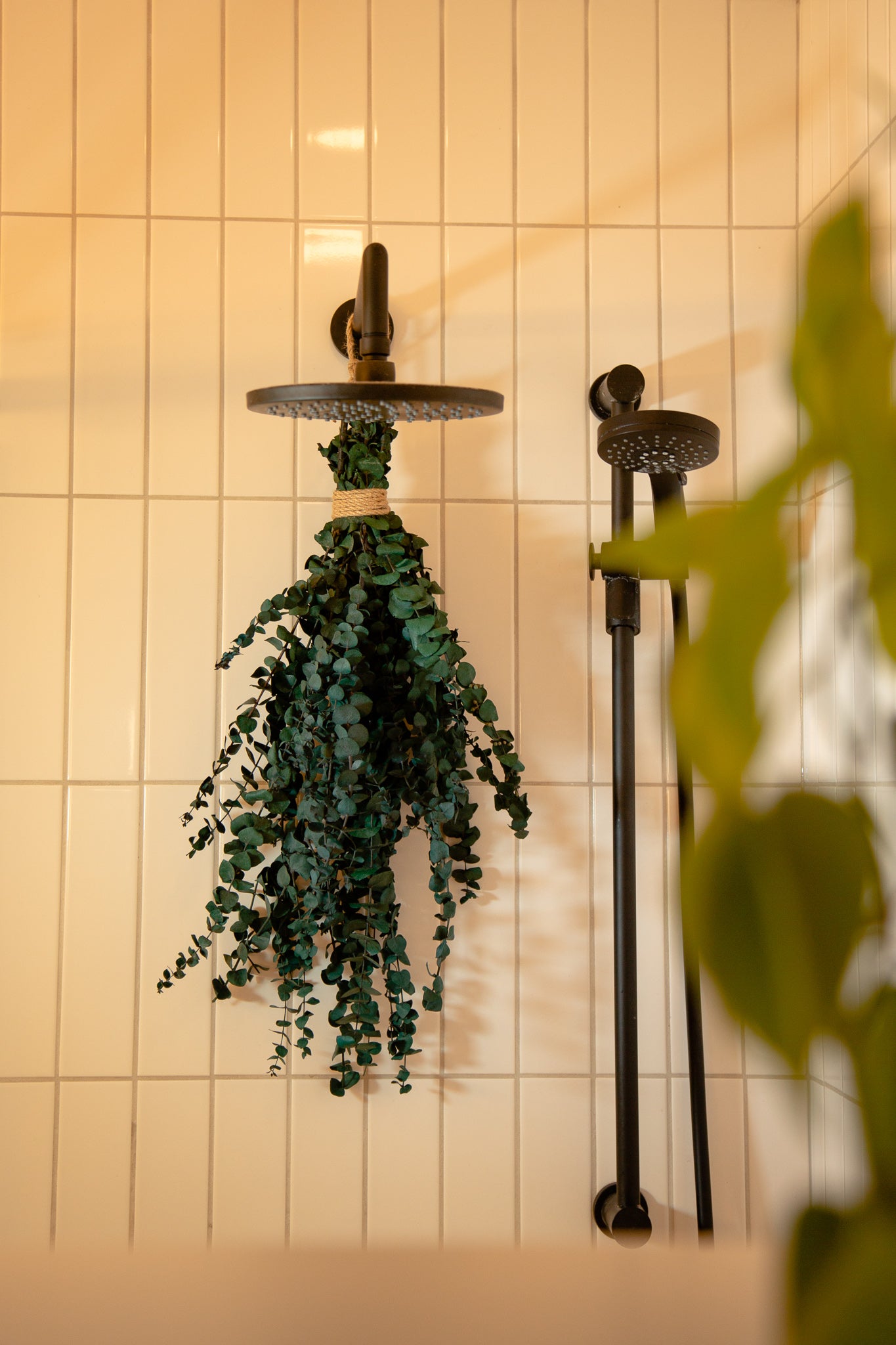 Bouquet eucalyptus vert (Grand)