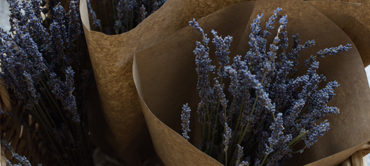 Bouquet de lavande