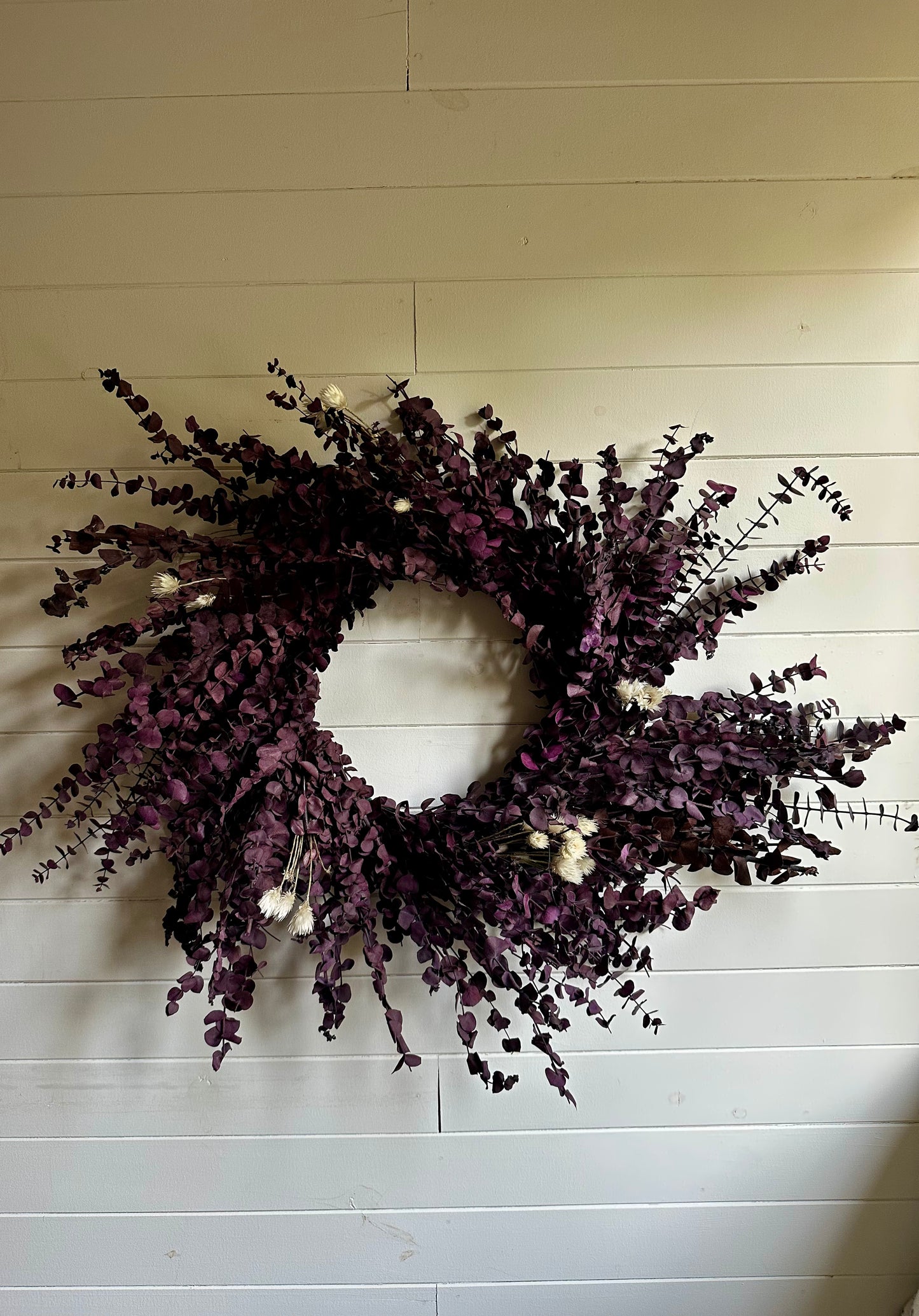 Couronne d'eucalyptus séché (Bourgogne)